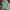 LEVI'S Sutro M-65 Military Field Parka Jacket photo 1