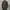 ADEN PLUS SPUR M-65 Military Field Jacket photo 1