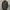 ADEN PLUS SPUR M-65 Military Field Jacket