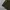 ADEN PLUS SPUR M-65 Military Field Jacket photo 4