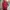 PUMA Waffle Sleeves Reflective Logo Varsity Jacket photo 1