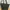 Tocco Toscano Tote Bag