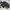 Mystery ranch waistbag photo 5