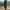CRACK JACK Honeycomb Slim Fit Parachute Outdoor Pants