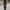 WESTWOOD Leopard Camouflage Slim Fit Softshell Outdoor Pants