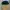 Topi Commando 3 color Dewasa photo 2