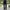 KOLON SPORT Side Panel Straight Fit Parachute Outdoor Pants photo 1