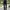 KOLON SPORT Side Panel Straight Fit Parachute Outdoor Pants