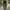 MOUNTAIN EQUIPMENT Black Skinny Fit Softshell Outdoor Pants photo 1