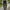 MOUNTAIN EQUIPMENT Black Skinny Fit Softshell Outdoor Pants