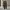 JOHN OWNBEY COMPANY 50s US Army M51 Vintage Field Trousers photo 1