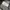 Oakley Planet pack 2'0 Black tactical Gorpcore / y2k photo 4
