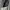 Oakley Planet pack 2'0 Black tactical Gorpcore / y2k photo 6