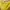 Blouse Kuning photo 3