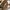 LE COQ SPORTIF - Quartz Sport
Optical White photo 5