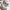LE COQ SPORTIF - Quartz Sport
Optical White photo 1