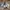 Realme 3Pro Second with Box & Accesories photo 1
