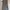 Iora Tweed Dress Grey photo 6