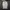 Musinsa Standard Slit Neck Pique Polo Shirt  photo 1