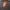 Disney Resort full Aop  photo 2