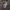 Disney Resort full Aop  photo 1