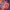 Disney Resort full Aop  photo 5