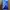 Iphone 13 128 GB Inter photo 5