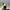 Action Figure Minifigure NinjaGo Cole Black Ninja Possesion  photo 7