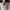Louis Vuitton Casual Shoulder bag Wanita white photo 3