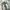 Triple j washed jeans denim wide baggy pants photo 2