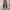 Uniqlo corduroy pants photo 1