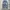 Authentic Jeans Wide Denim Balloon Pants