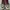 Converse CT Moctoe Mix leather photo 6
