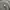 Carhartt active jacket J06ONX photo 2