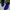 Nike Zoom Structure Royal Blue Running Shoes
