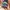 4 PSC BUCKETHAS photo 1