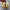 Adidas Campus White gum photo 3
