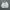 Windbreaker jacket cct photo 1