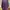 Casual Fleece Wanita Purple