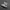 nike jordan photo 1