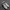 nike af1 photo 3