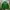 TRACKTOP ADIDAS PORTLAND