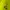 Mizuno Sportswear Vest Pria yellow photo 3