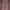 Vivienne Weswood 3D Pocket Cargo Pants