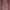 Vivienne weswood 3D pocket cargo pants photo 8