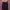 Nepenthes 6 pocket pants photo 6