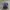 Ransel Kappa photo 1