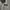 Parka Army Military M65 Andew photo 2
