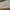 Adidas Superstar Sneakers White Gold photo 4