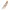 Staccato ED723-018 Women Heels - Beige photo 3